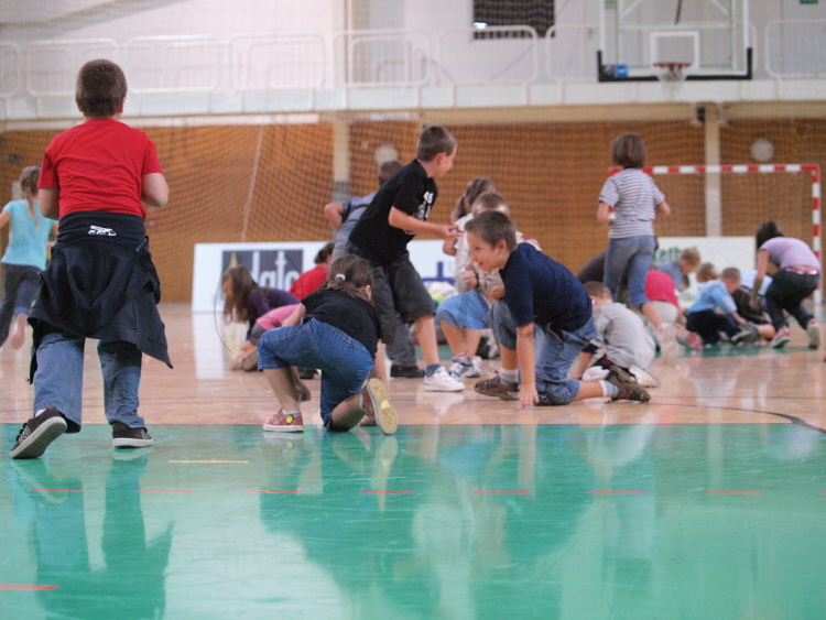 P9124466.JPG